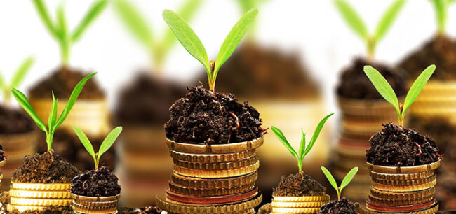 Lead nurturing tips Lead nurturing tips